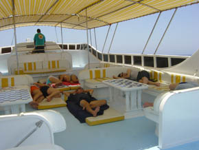 Sonnendeck Tauchsafari