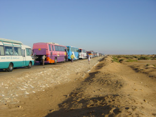 Buskonvoi nach Kairo