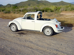 VW Käfer