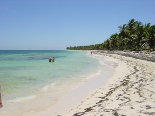 Starnd Domrep