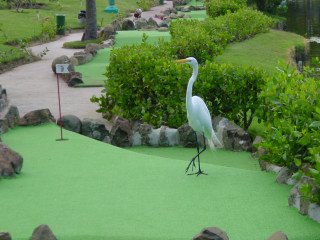 Minigolf Domrep