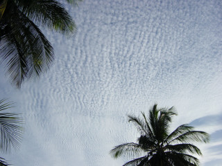 Himmel Domrep