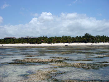 Shanzu Beach