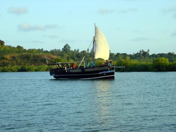 Dhau