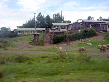 Am Mount Kenia