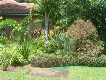 Garten bei der Unetrkunft