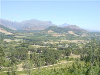 Franschhoek