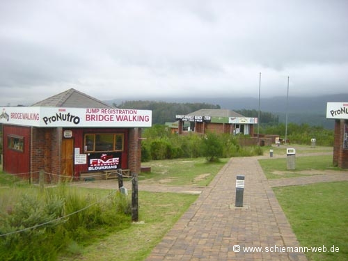 Bungy Junping