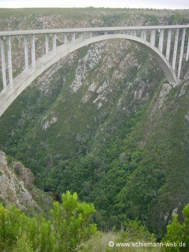 Bungee Jump