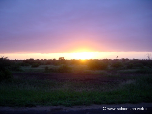 Foto Sonnenaufgang Krügerpark