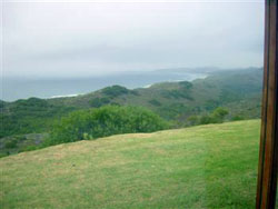 Fynbos B&B Garden Route