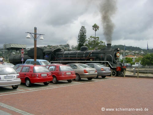 Outeniqua Choo-Tjoe