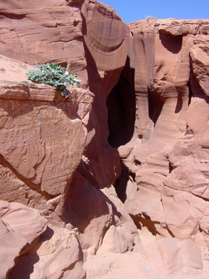 Hintere Eingang des Antelope Canyon