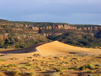 Coral Pink Sand Dunes State Park