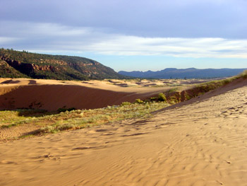 Coral Pink Sand Dunes State Park