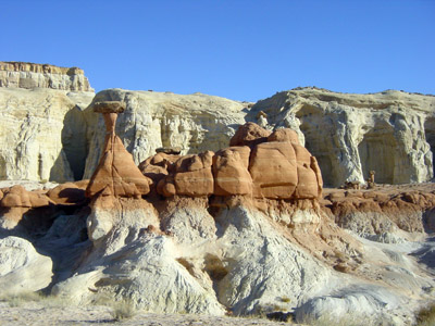 Toadstool Hoodoo