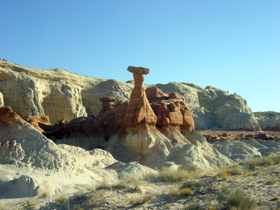 Toadstool Hoodoo