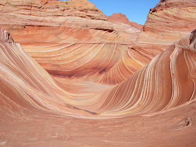 The Wave