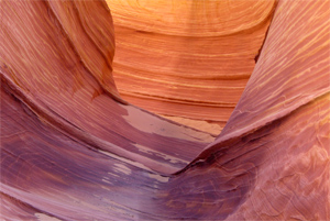 Wave