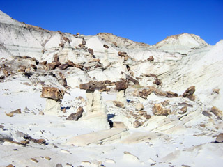 Hoodoo