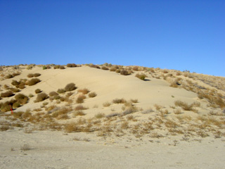 Sandd�ne
